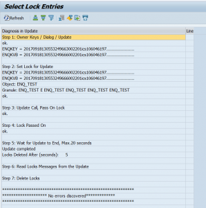 SM12 check enqueue in update