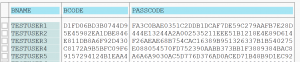 PASSCODE from USR02