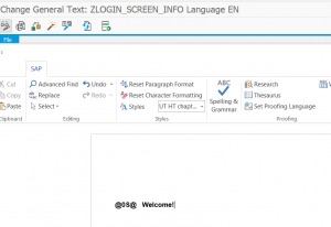 ZLOGIN_SCREEN_INFO text