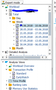 Time profile selection in ST03n